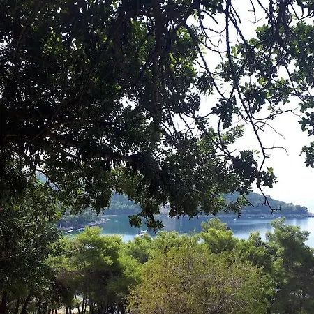 Kristic - Saplunara, Mljet 公寓 *