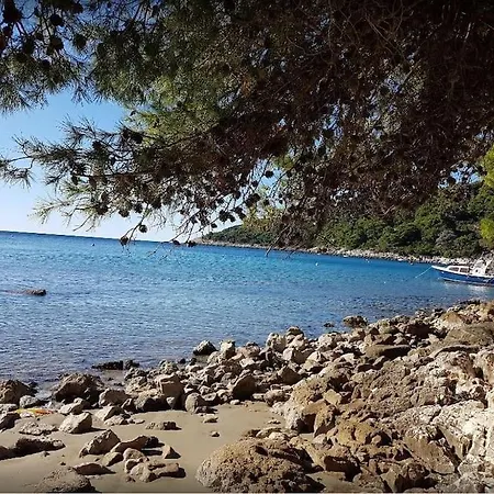 Kristic - Saplunara, Mljet 公寓 Babino Polje