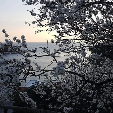 Kristic - Saplunara, Mljet Appartamento Babino Polje