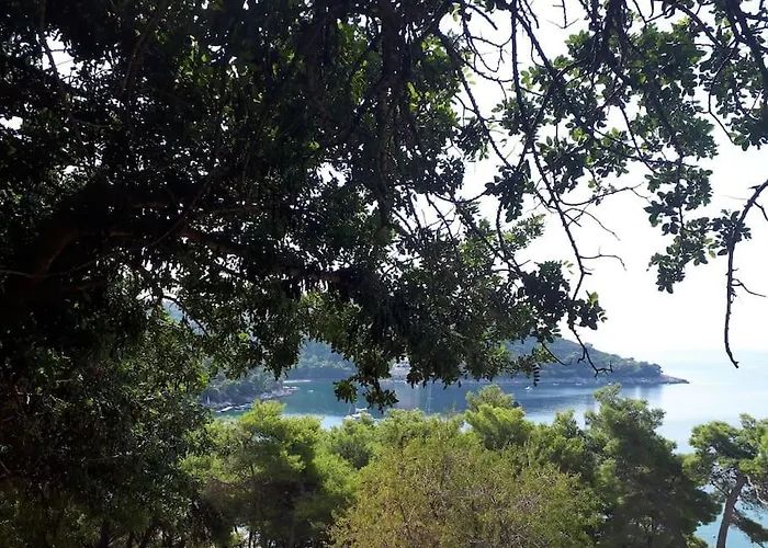 Kristic - Saplunara, Mljet Apartment *